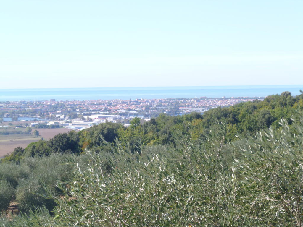 Le Ginestre B & B Massarosa Bagian luar foto