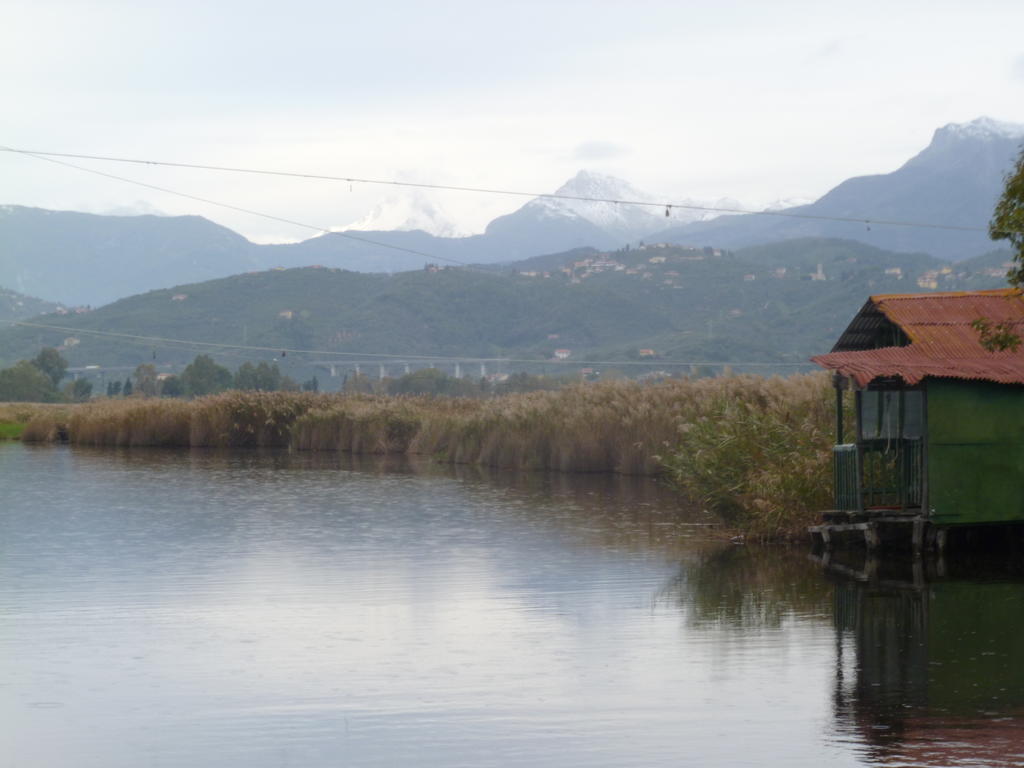 Le Ginestre B & B Massarosa Bagian luar foto