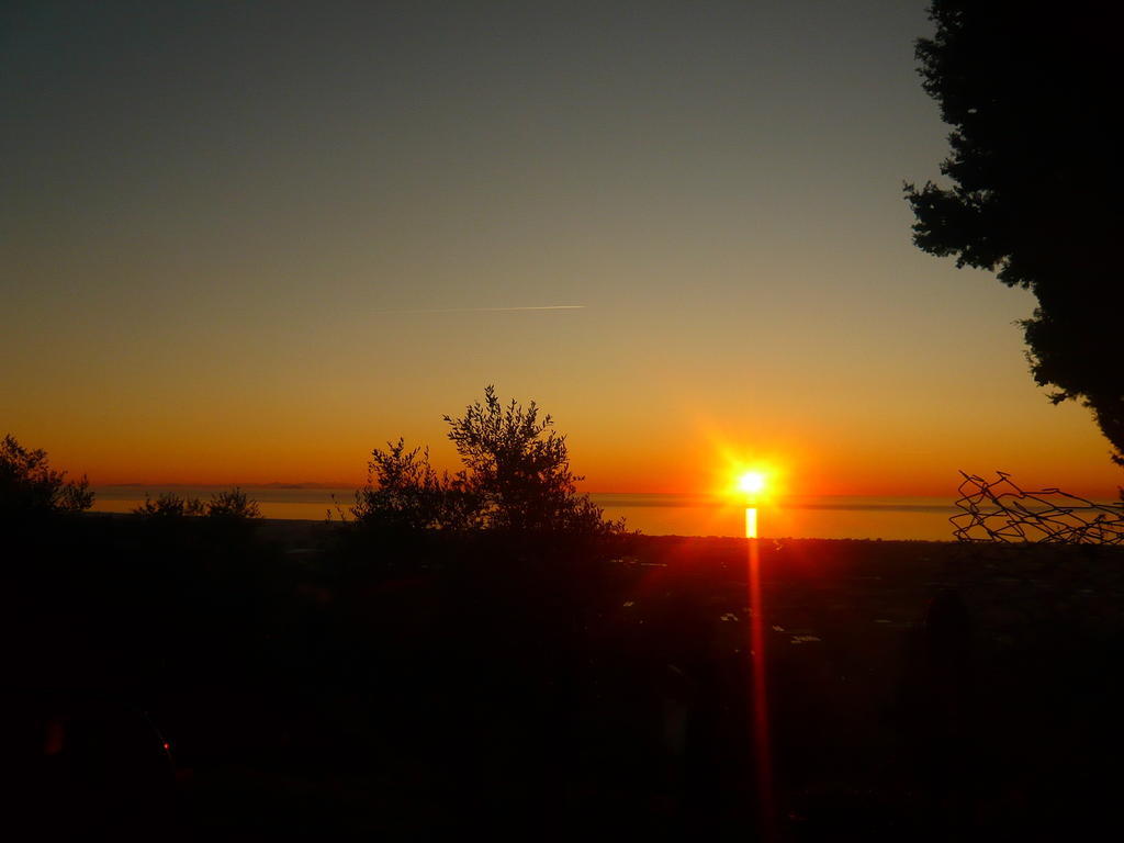 Le Ginestre B & B Massarosa Bagian luar foto