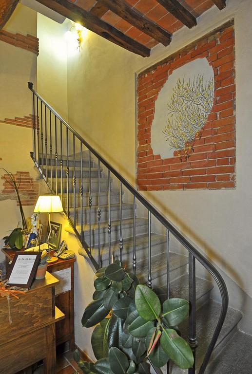 Le Ginestre B & B Massarosa Bagian luar foto